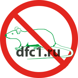 Уничтожение крыс в Санкт-Петербурге