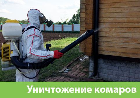 Уничтожение комаров в городе Санкт-Петербург